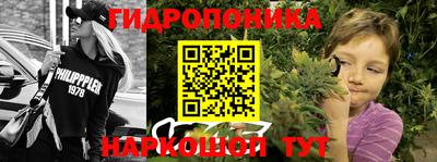эйфоретик Будённовск