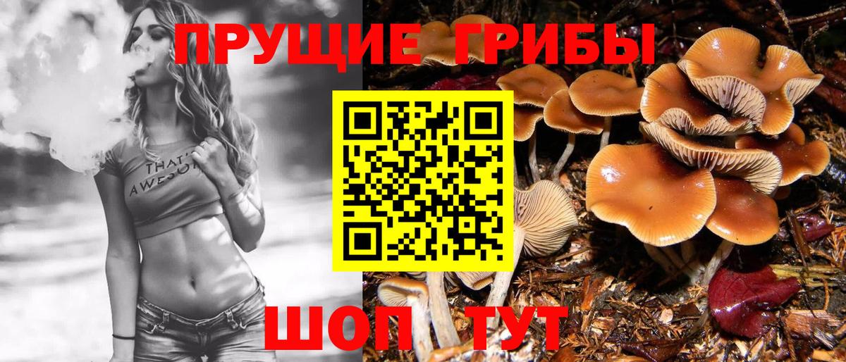 Рассказово  Псилоцибиновые грибы прущие грибы  Галлюциногенные грибы Cubensis  Вход с VPN 